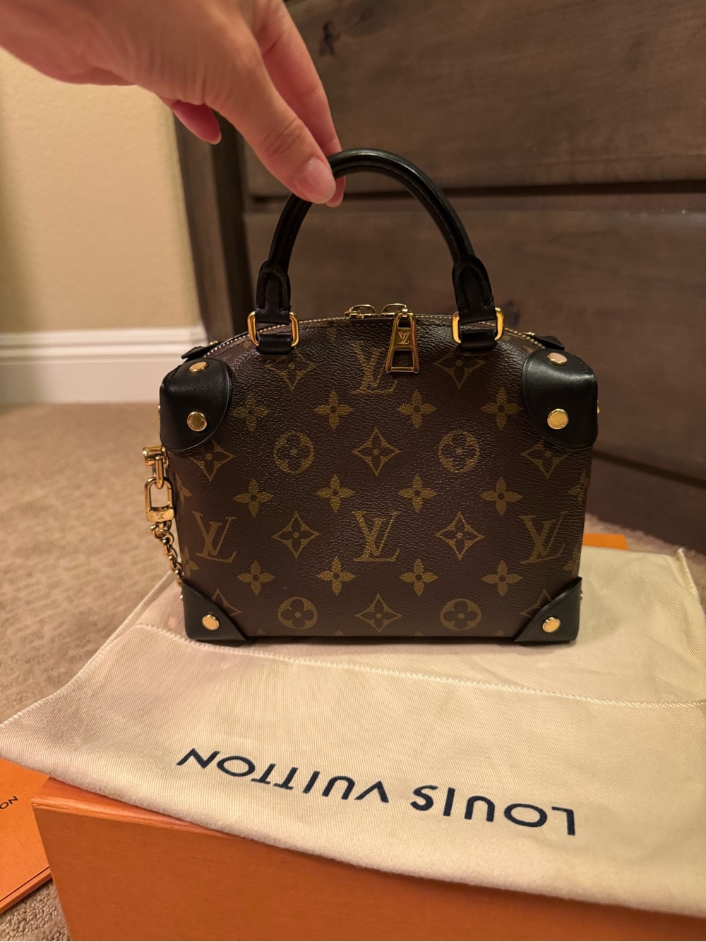 Louis Vuitton Monogram Petite Malle Souple Brown & Black (Gold Hardware) - Picture 9 of 15